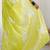 lime embellished sequinned organza saree