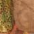 Green floral jaali tissue bagru saree