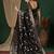 Black ethnic motifs zari  georgette kanjeevaram saree