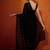 Black striped sequinned  georgette saree
