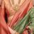 Green woven design printed zari  patola saree