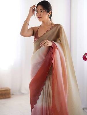 Brown ombre embroidered party wear  chiffon saree with matching blouse 4