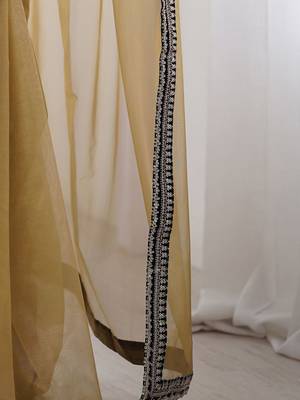 Brown solid embroidered net saree 5