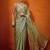 Olive embellished beads and stones organza saree