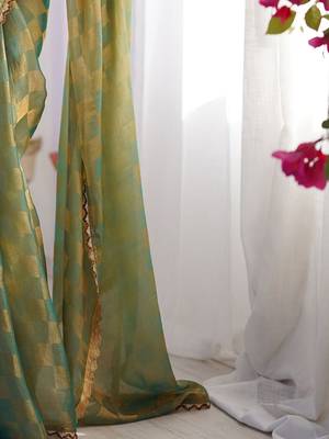 Sea green checked woven design beads and stones  chiffon saree 5