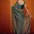 Green striped zari  georgette saree