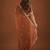 Brown ethnic motifs embroidered  georgette heavy work saree