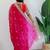 Pink floral embroidered organza saree
