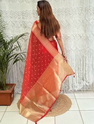 Red zari organza designer banarasi saree 4