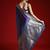 Blue ethnic woven design saree with matching blouse