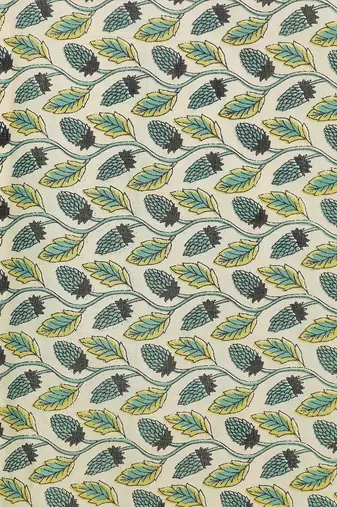 Sea green  cotton handloom saree