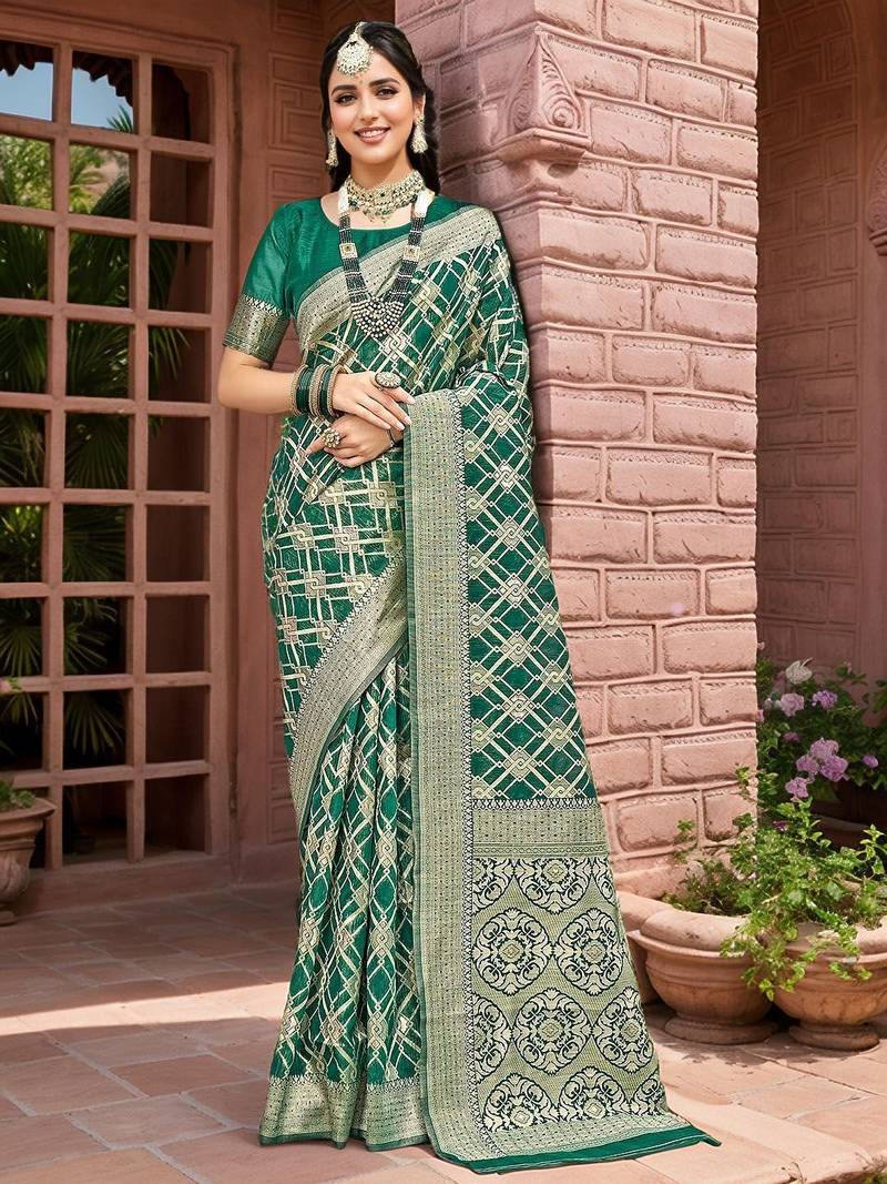 Green geometric embroidered zari saree