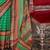 Green ethnic motifs zari banarasi saree