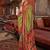Olive ethnic motifs zari banarasi saree