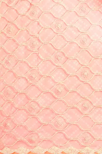 Peach bandhani organza saree