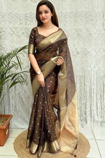 Brown zari organza designer banarasi saree
