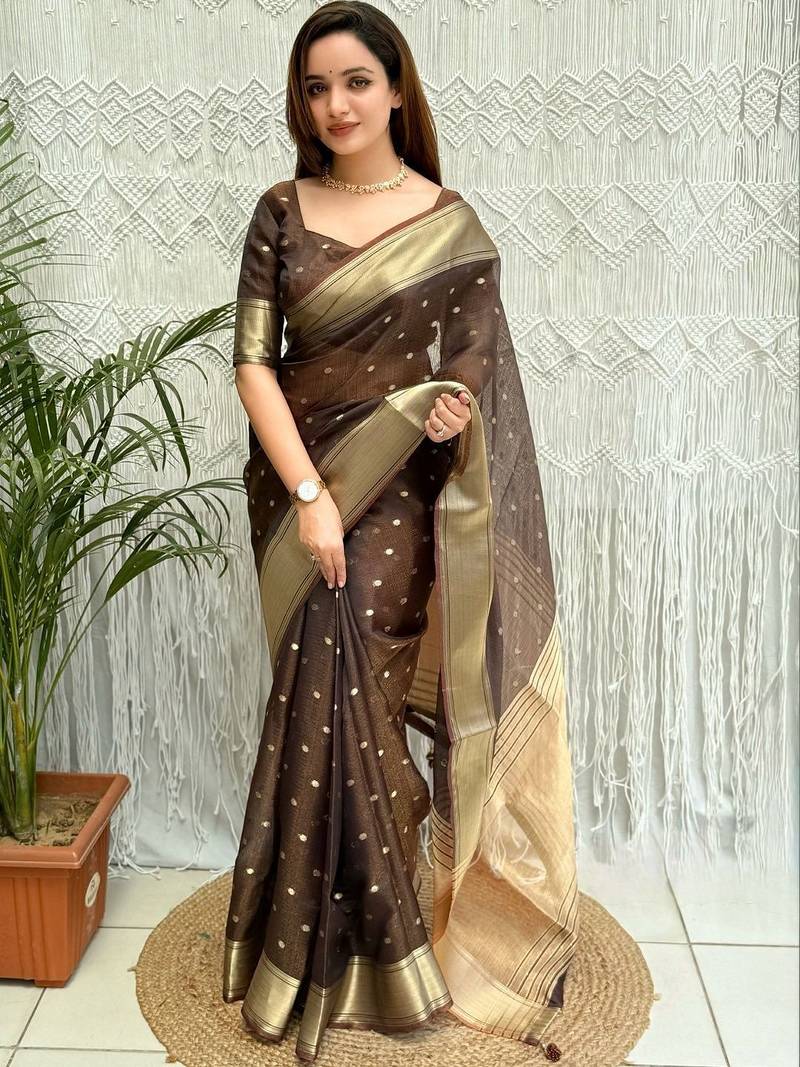 Brown zari organza designer banarasi saree
