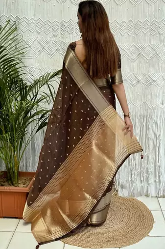 Brown zari organza designer banarasi saree