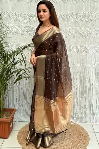 Brown zari organza designer banarasi saree