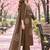 women ethnic motifs printed regular