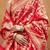 Red ethnic motifs zari silk blend banarasi saree