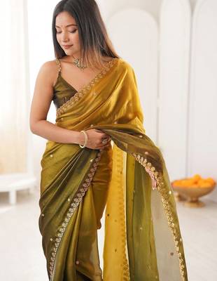 Multicolor ombre embroidered tissue saree 2