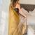 Gold tissue handloom kasavu saree
