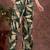 women ethnic motifs printed regular kurta with palazzos