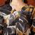 women floral printed regular kurta with palazzos
