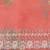 Red red & white floral embroidered organza saree