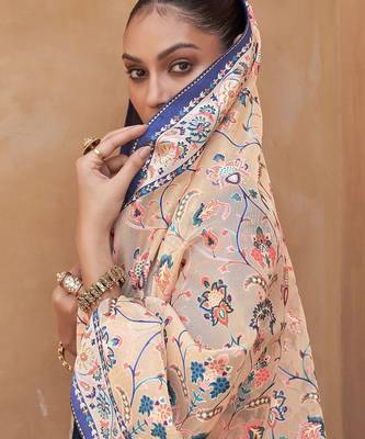 Cream cream & blue ethnic motifs zari organza banarasi saree 2