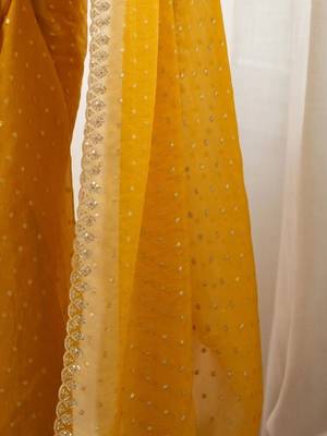 Yellow embellished embroidered poly georgette designer saree 5
