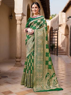 Green woven design zari organza banarasi saree 2