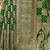 Green woven design zari organza banarasi saree