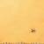 Mustard mustard & silver-coloured organza saree with embroidered border