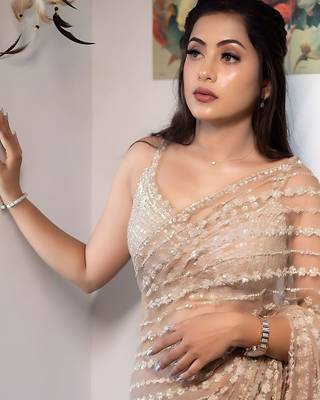 Multicolor embellished sequinned net saree 3