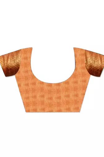 Orange orange & gold-toned paisley woven design zari tissue saree