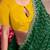 Green sequinned bandhani saree