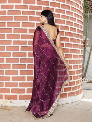 Burgundy embroidered mirror work organza saree 3