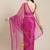 Burgundy burgundy ethnic motifs organza saree