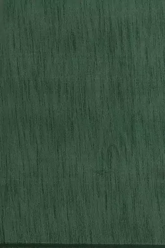 Green embroidered border saree
