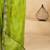 Green bandhani printed thread work  chiffon saree