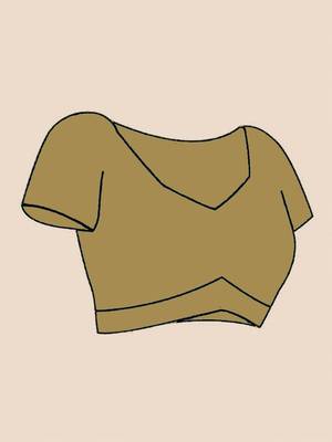 Brown tissue saree with blouse 5
