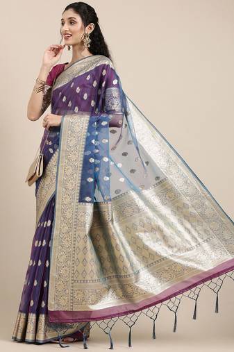 Blue ethnic motifs zari organza banarasi saree