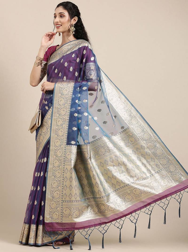 Blue ethnic motifs zari organza banarasi saree