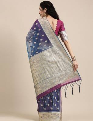 Blue ethnic motifs zari organza banarasi saree 2
