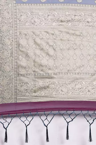Blue ethnic motifs zari organza banarasi saree