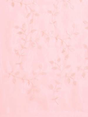 Pink pink & white embellished sequinned organza saree 4