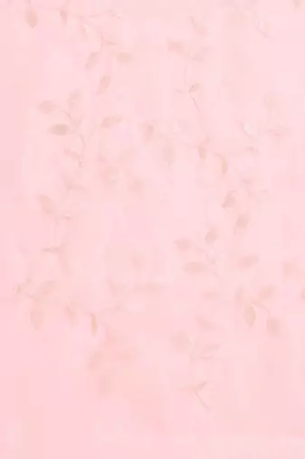 Pink pink & white embellished sequinned organza saree