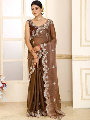 Brown embroidered tissue saree 2